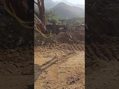 Tipo hidráulico WuYing grabador de excavadoras, grabador de madera de cinco garras, traje para excavadoras